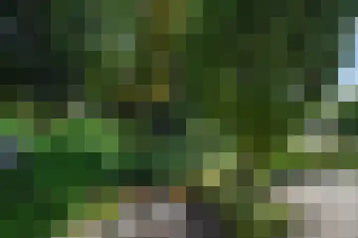 Zandweg 3 Maarssen thumbnail 31