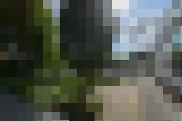 Zandweg 3 Maarssen thumbnail 32