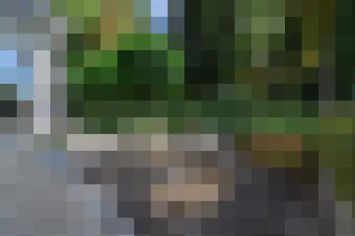Zandweg 3 Maarssen thumbnail 33
