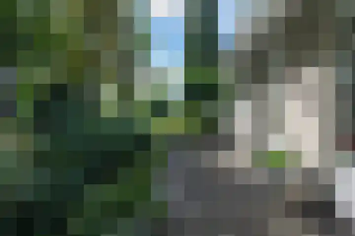 Zandweg 3 Maarssen thumbnail 34