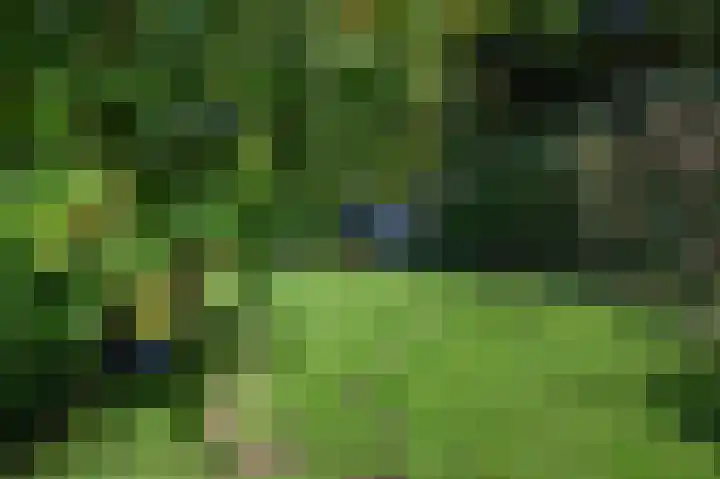 Zandweg 3 Maarssen thumbnail 35