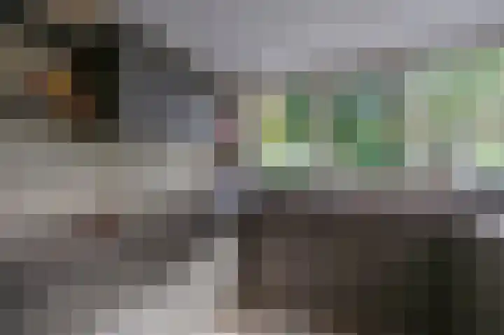 Zandweg 3 Maarssen thumbnail 9