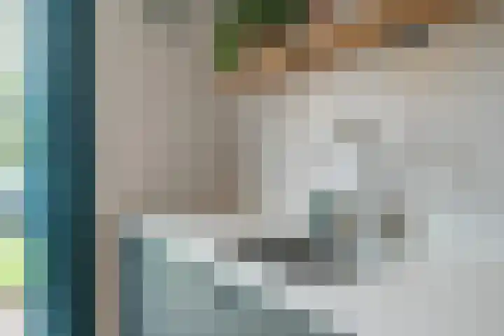 Zandweg 3 Utrecht thumbnail 16