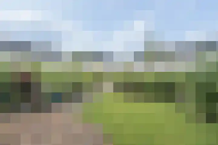 Zandweg 3 Utrecht thumbnail 20
