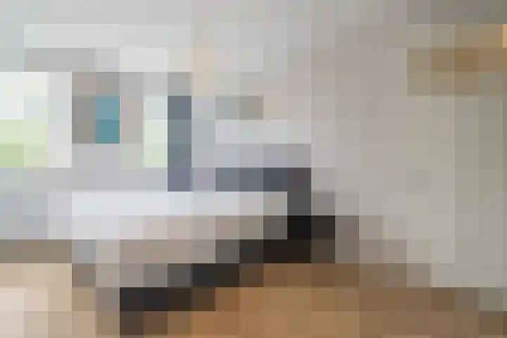 Zandweg 3 Utrecht thumbnail 25