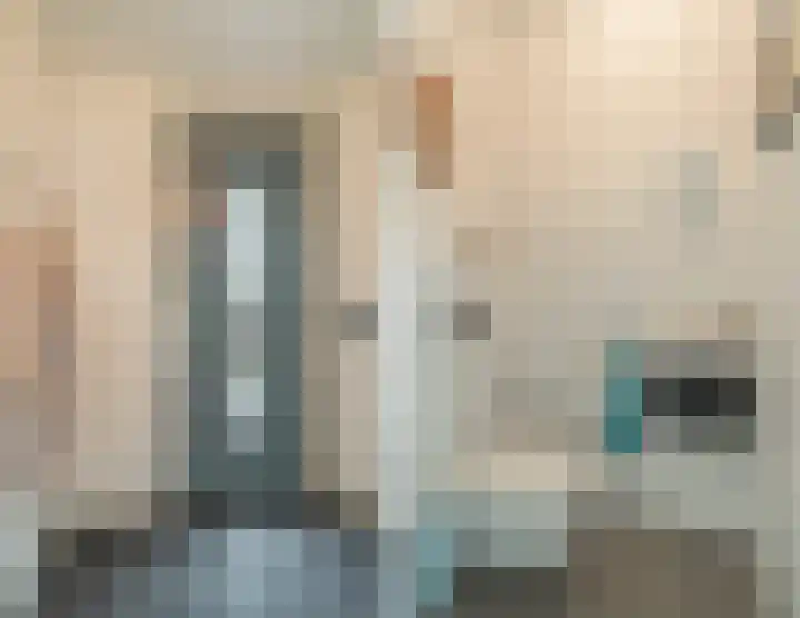 Zandweg 3 Utrecht thumbnail 48