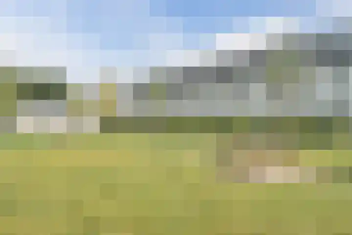 Zandweg 3 Utrecht thumbnail 55