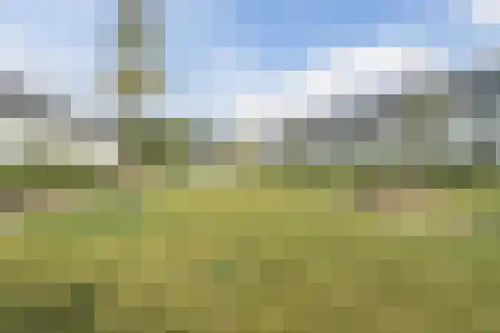 Zandweg 3 Utrecht thumbnail 57