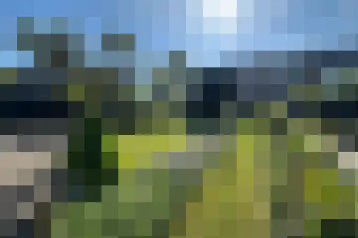 Zandweg 30 a Maarssen thumbnail 33