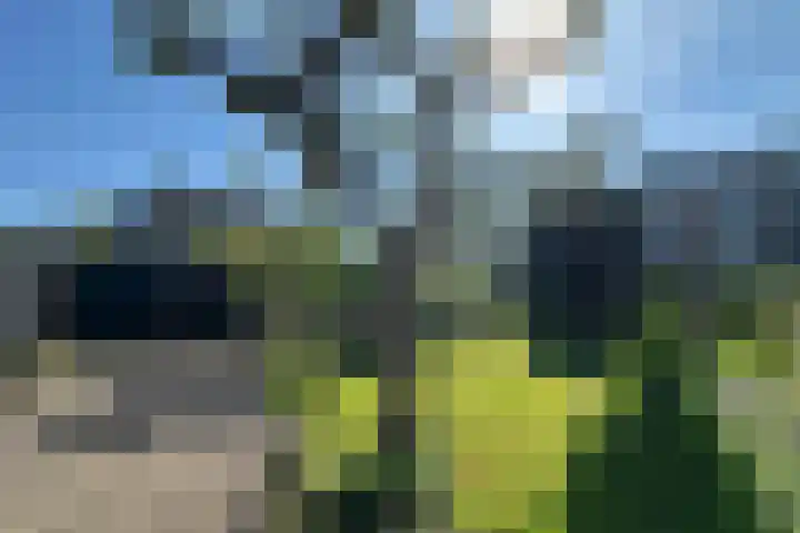 Zandweg 30 a Maarssen thumbnail 35