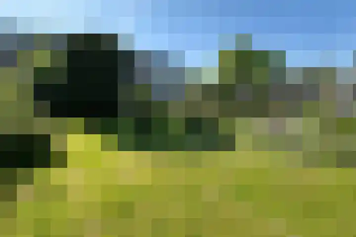 Zandweg 30 a Maarssen thumbnail 36