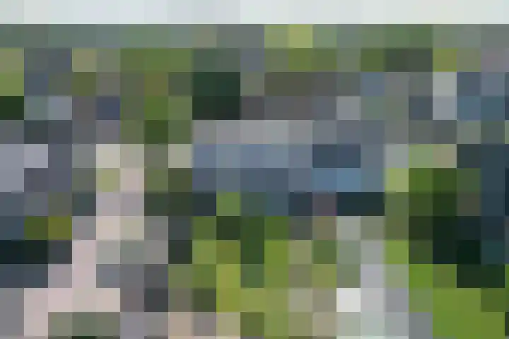 Zandweg 30 a Maarssen thumbnail 39