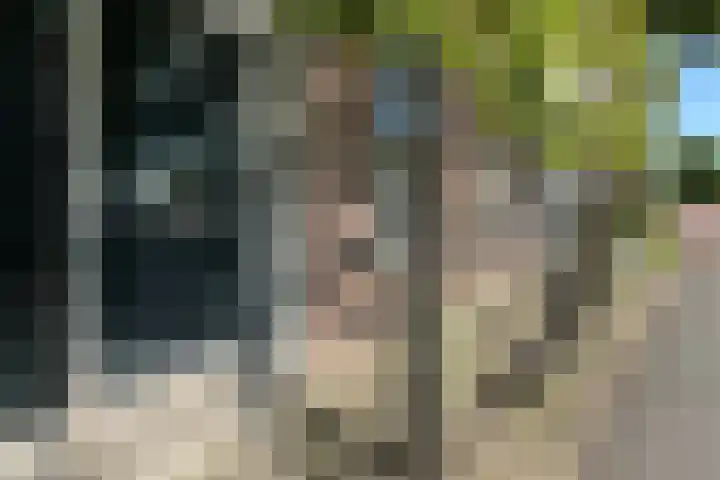 Zandweg 30 a Maarssen thumbnail 7
