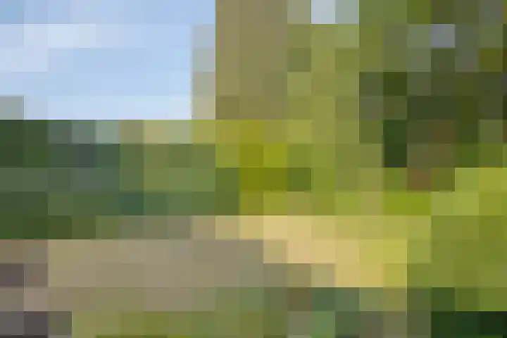 Zandweg 30 Wijchen thumbnail 37
