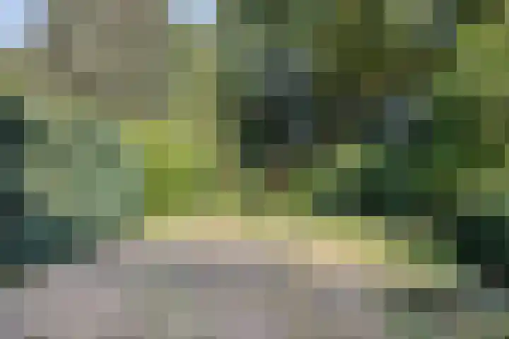 Zandweg 30 Wijchen thumbnail 38