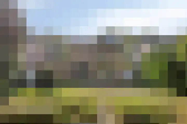 Zandweg 30 Wijchen thumbnail 42