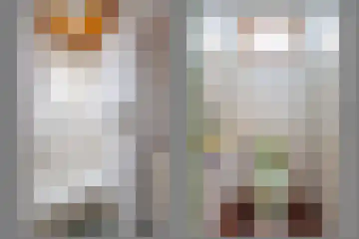 Zandweg 33 Wijk bij Duurstede thumbnail 18