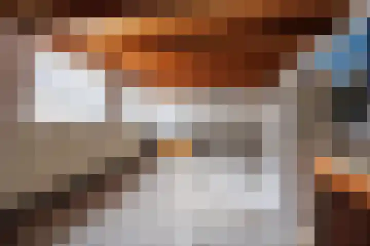 Zandweg 33 Wijk bij Duurstede thumbnail 34