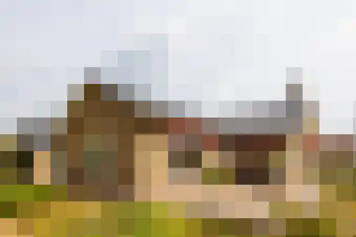 Zandweg 33 Wijk bij Duurstede thumbnail 36