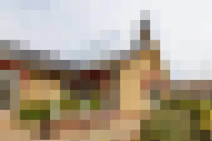 Zandweg 33 Wijk bij Duurstede thumbnail 37