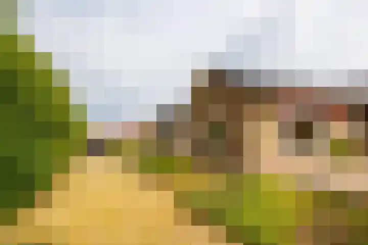Zandweg 33 Wijk bij Duurstede thumbnail 38