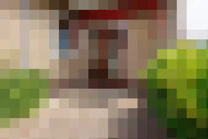 Zandweg 33 Wijk bij Duurstede thumbnail 39