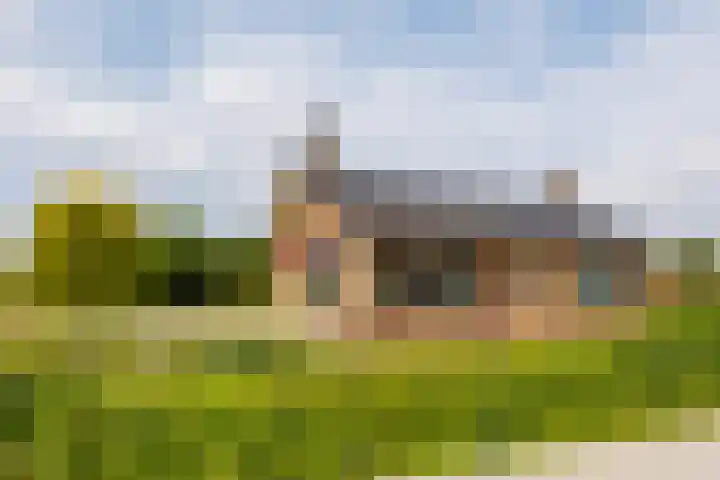 Zandweg 33 Wijk bij Duurstede thumbnail 4