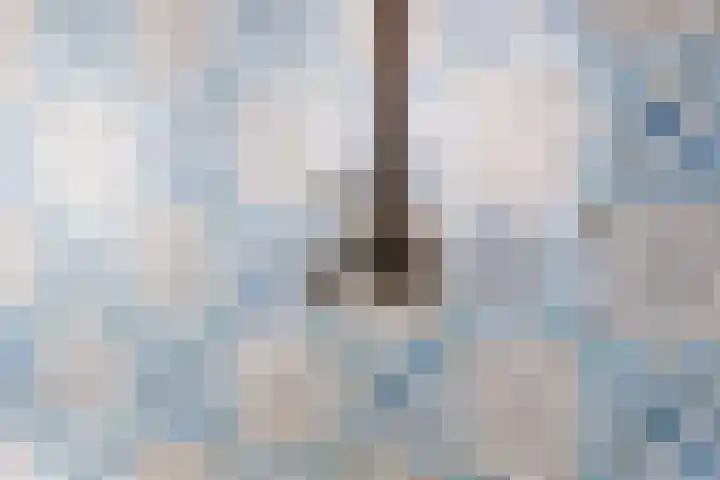 Zandweg 33 Wijk bij Duurstede thumbnail 42