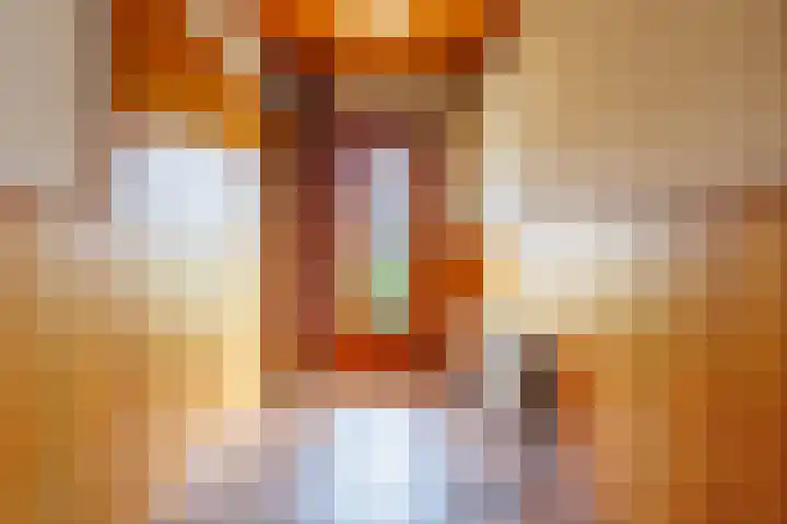 Zandweg 33 Wijk bij Duurstede thumbnail 45