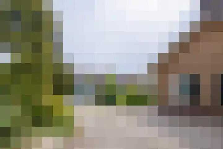 Zandweg 33 Wijk bij Duurstede thumbnail 46