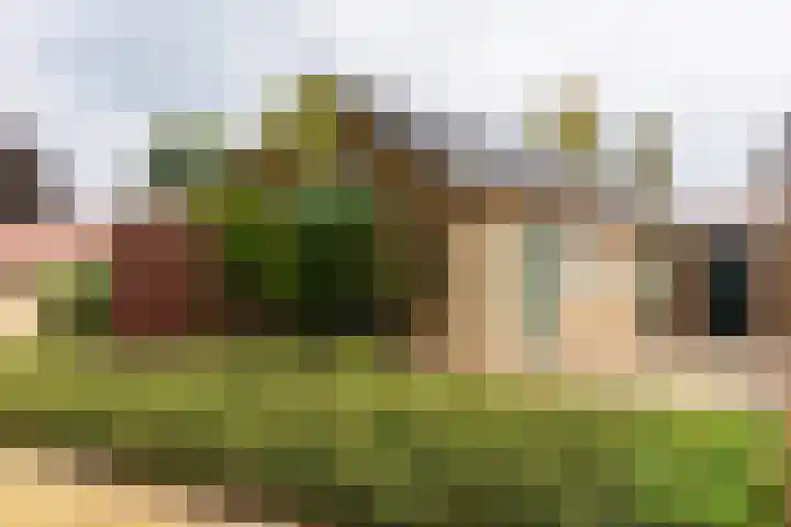 Zandweg 33 Wijk bij Duurstede thumbnail 48