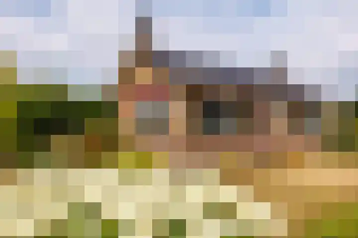 Zandweg 33 Wijk bij Duurstede thumbnail 5