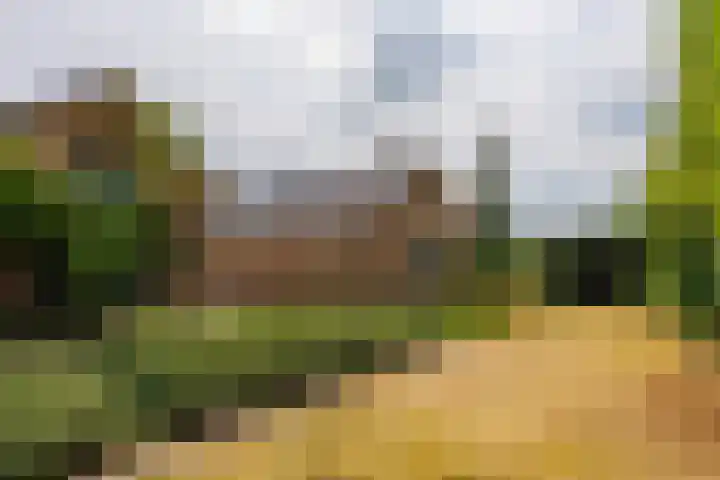Zandweg 33 Wijk bij Duurstede thumbnail 50