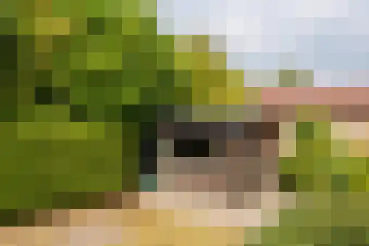 Zandweg 33 Wijk bij Duurstede thumbnail 51