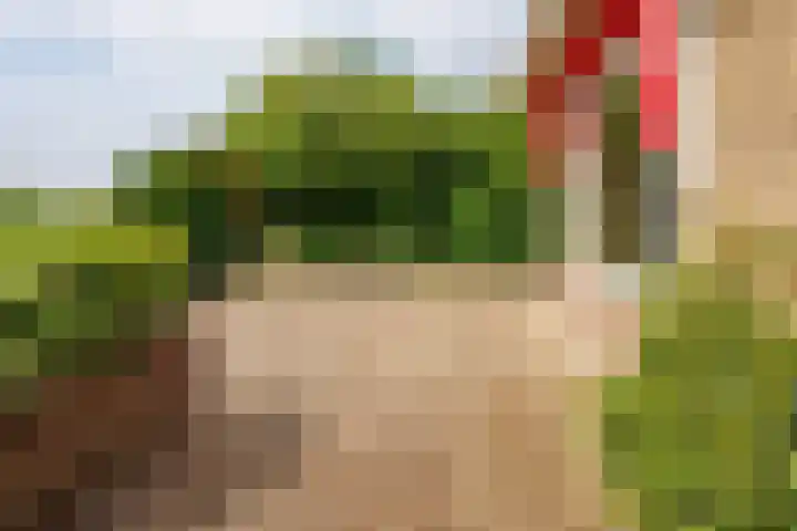 Zandweg 33 Wijk bij Duurstede thumbnail 53