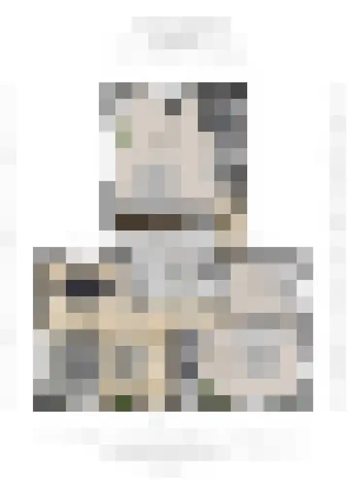 Zandweg 33 Wijk bij Duurstede thumbnail 54