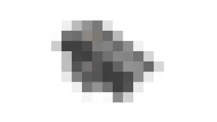 Zandweg 33 Wijk bij Duurstede thumbnail 57