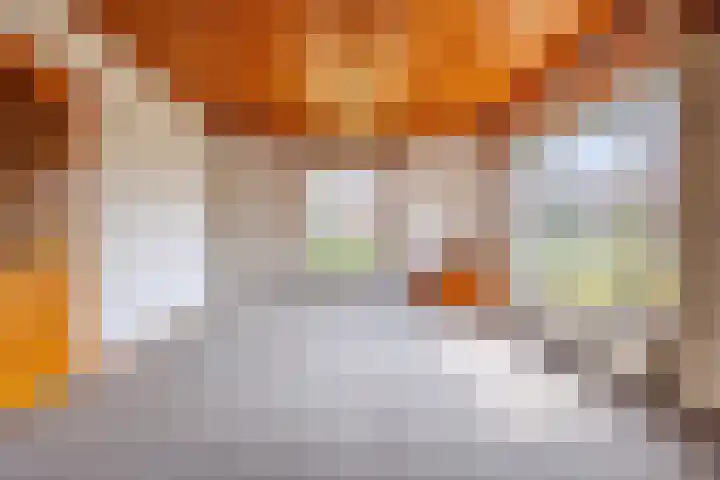 Zandweg 33 Wijk bij Duurstede thumbnail 8