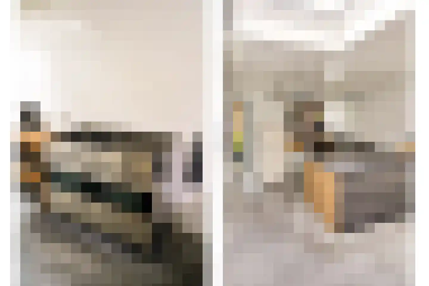 Zandweg 34 Utrecht thumbnail 14
