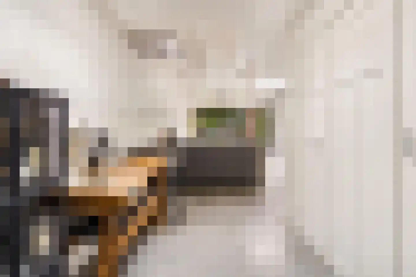 Zandweg 34 Utrecht thumbnail 15