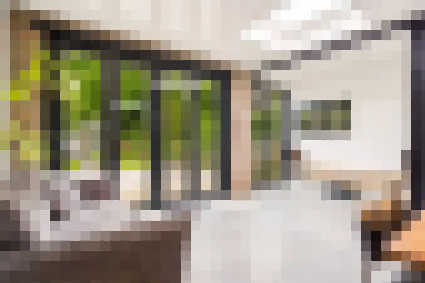 Zandweg 34 Utrecht thumbnail 18