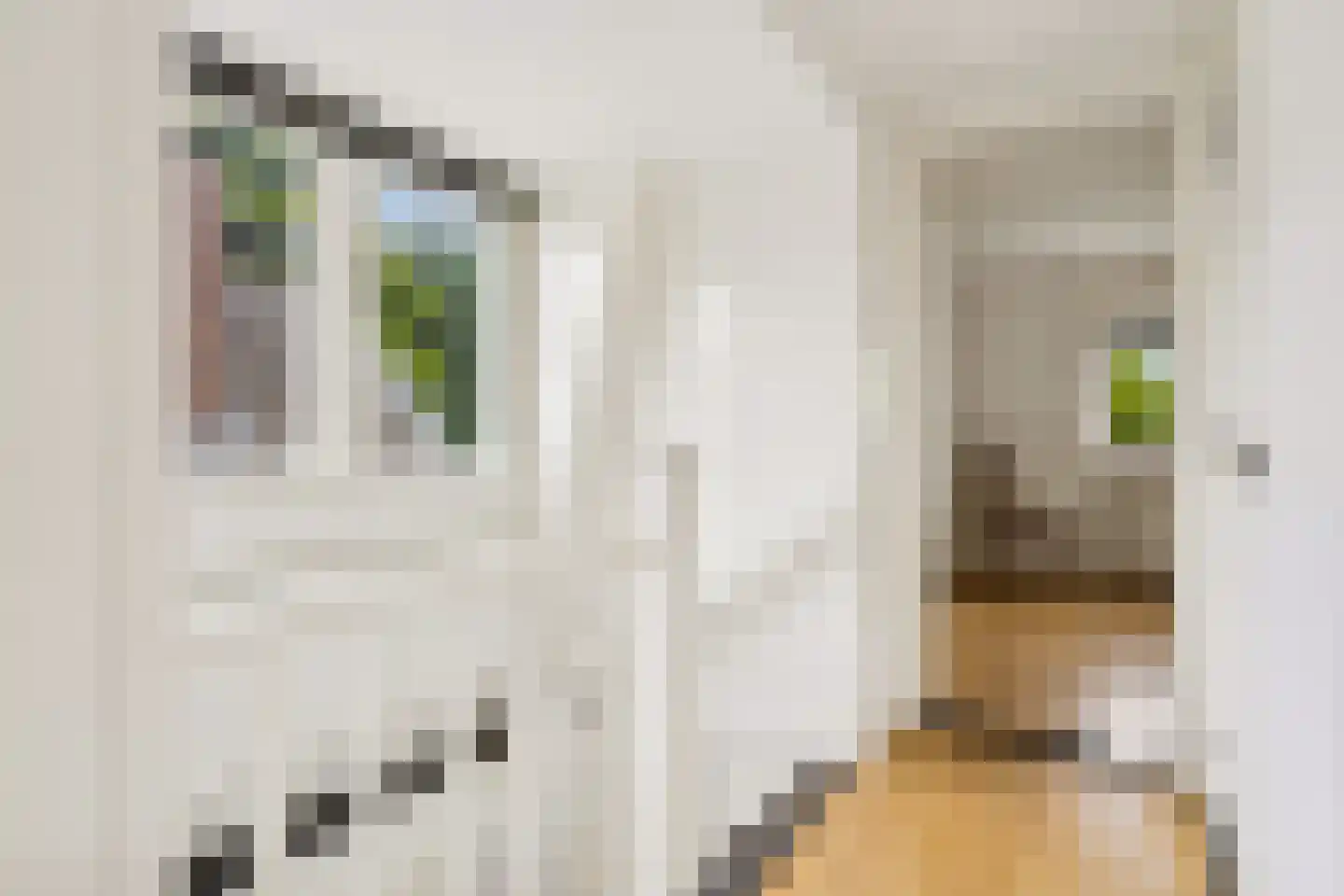 Zandweg 34 Utrecht thumbnail 33