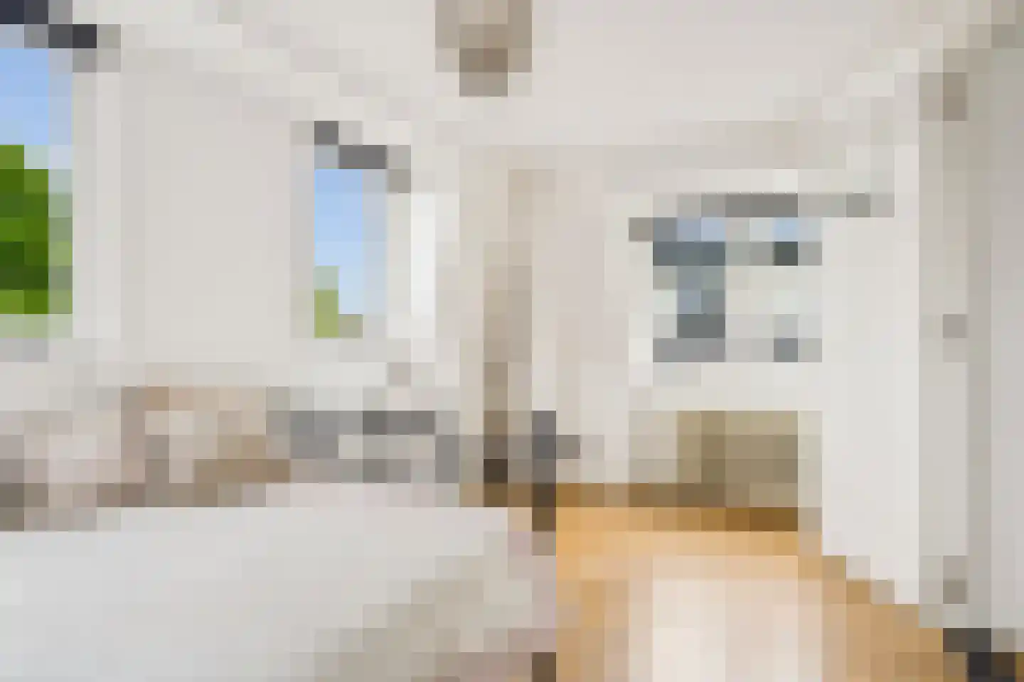 Zandweg 34 Utrecht thumbnail 39