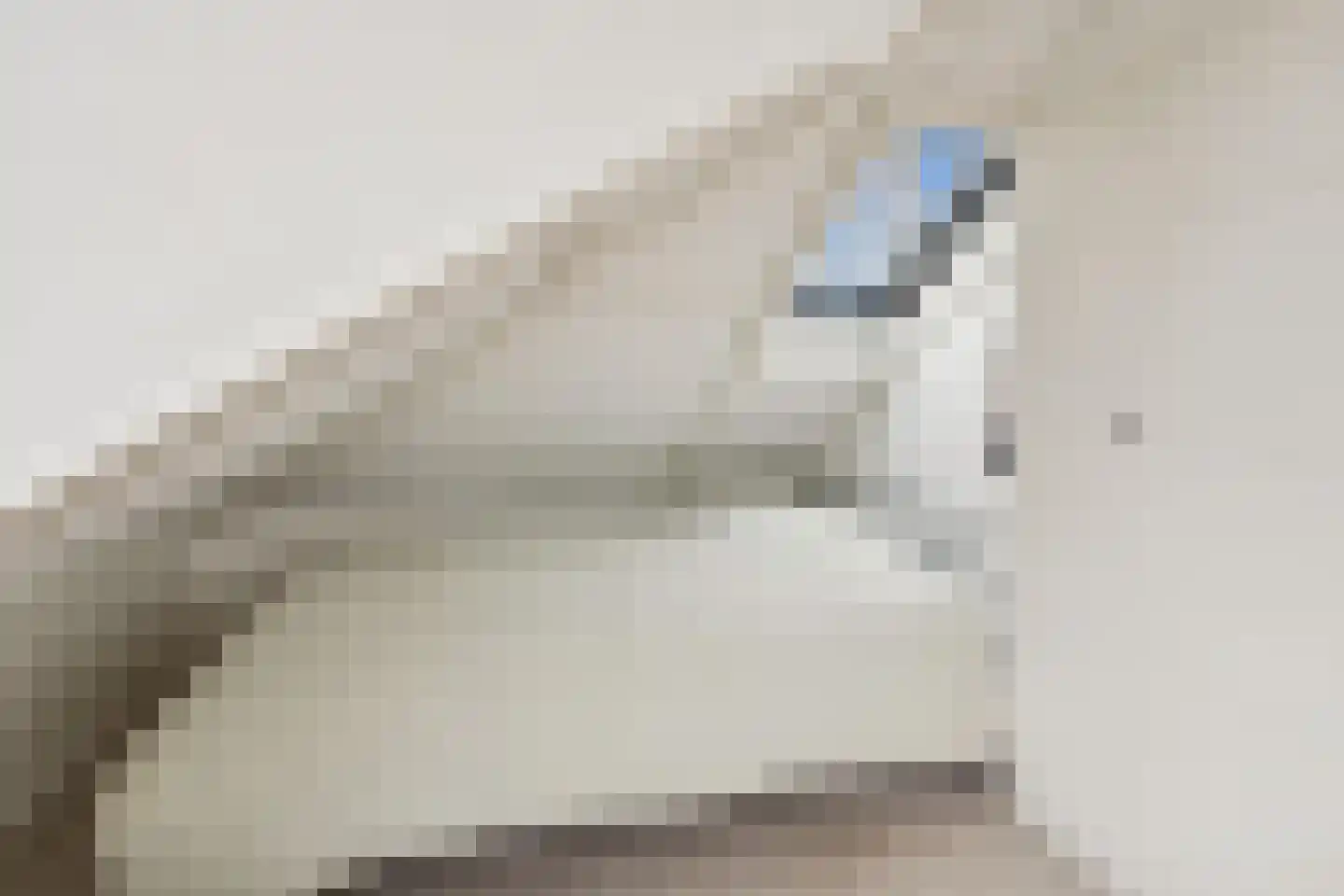 Zandweg 34 Utrecht thumbnail 45