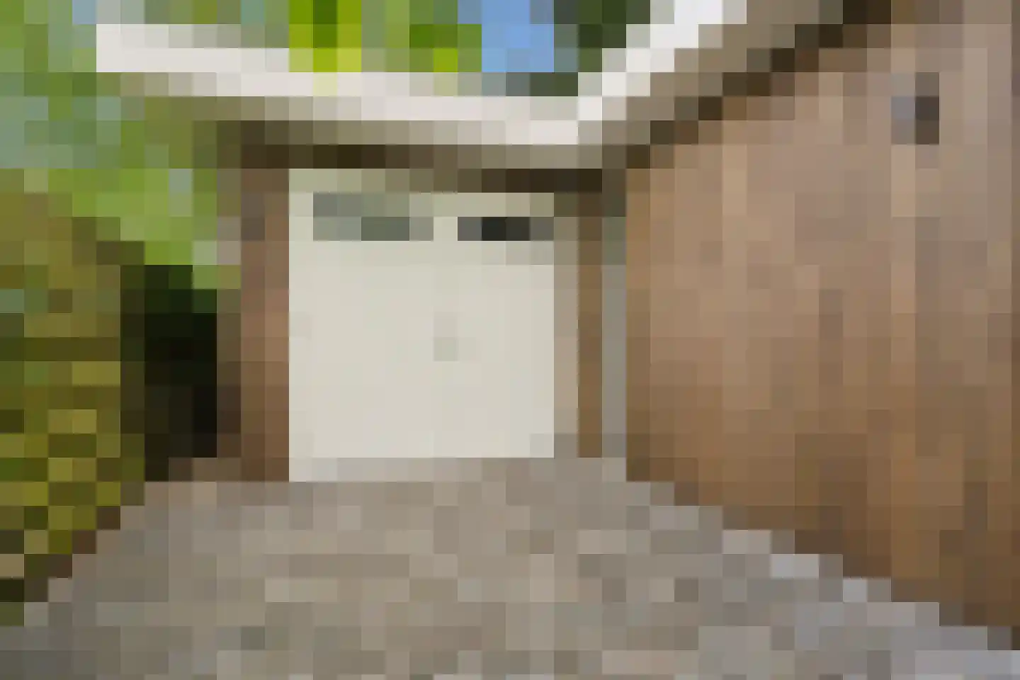 Zandweg 34 Utrecht thumbnail 55