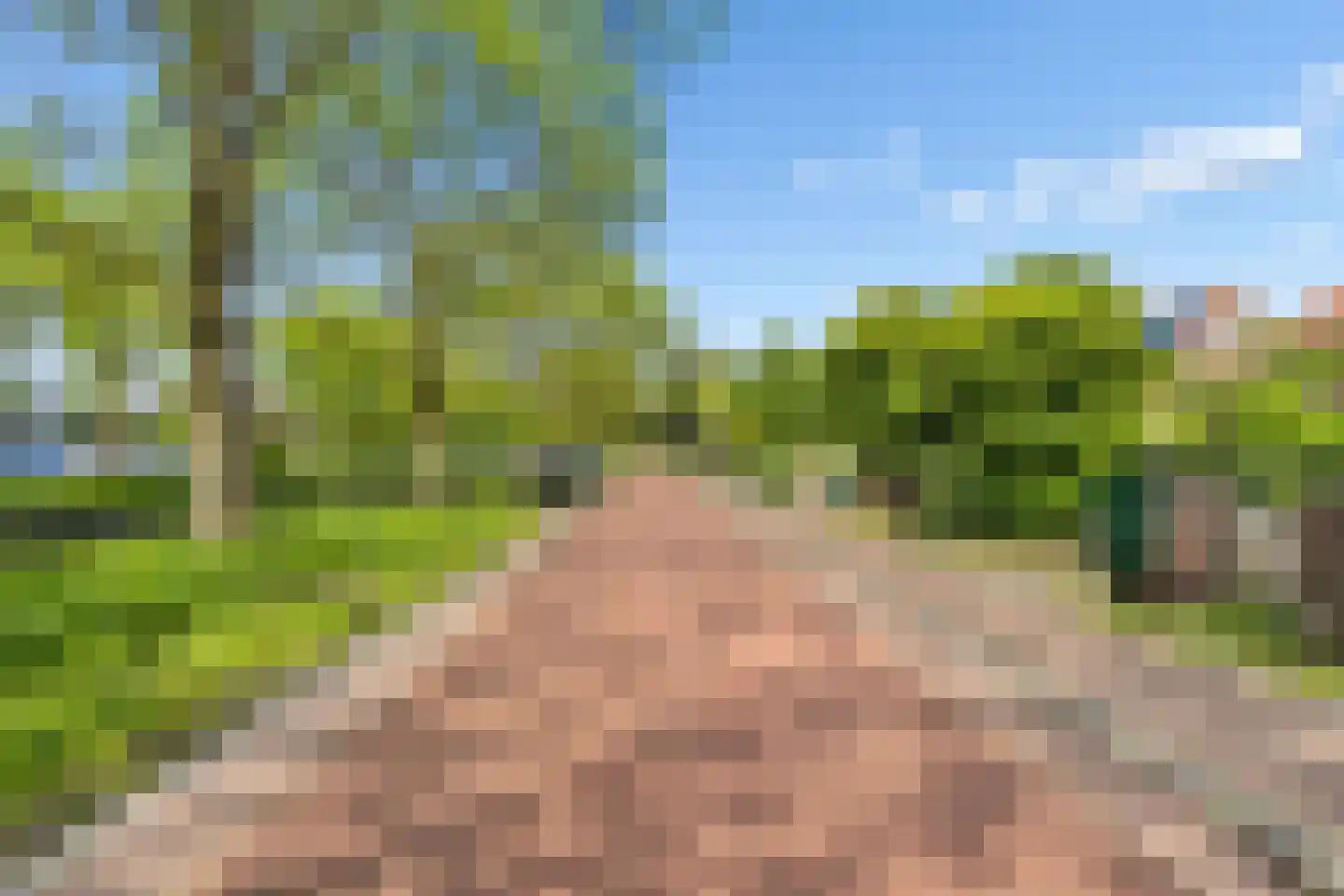 Zandweg 34 Utrecht thumbnail 68