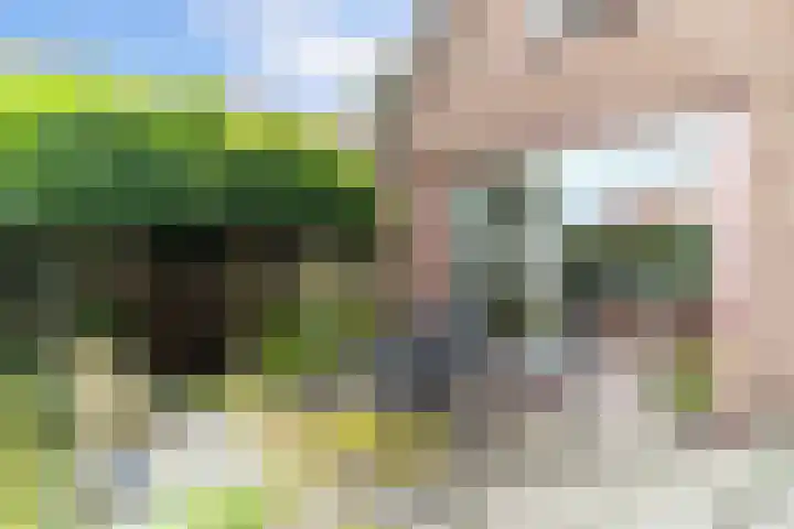 Zandweg 36 Oostvoorne thumbnail 34