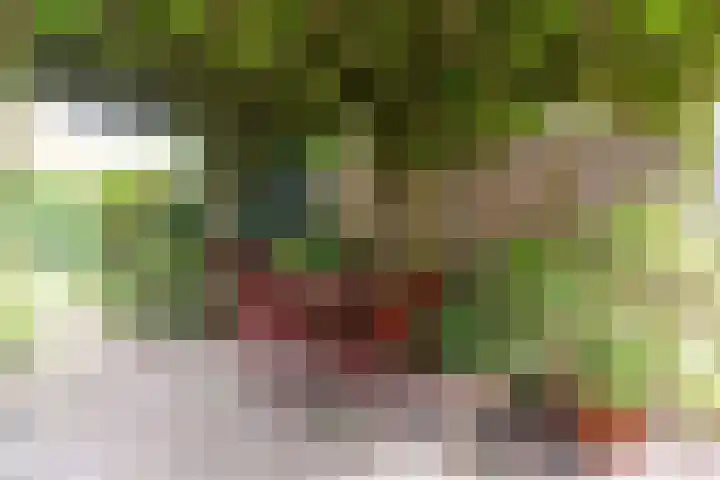 Zandweg 36 Oostvoorne thumbnail 35