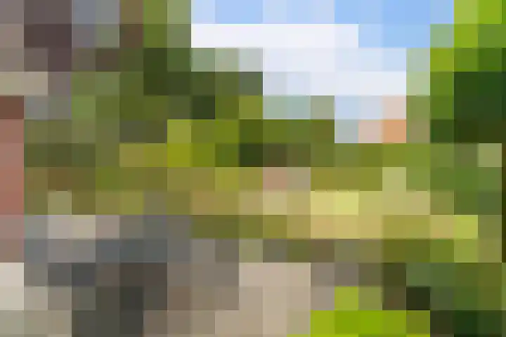 Zandweg 36 Oostvoorne thumbnail 36