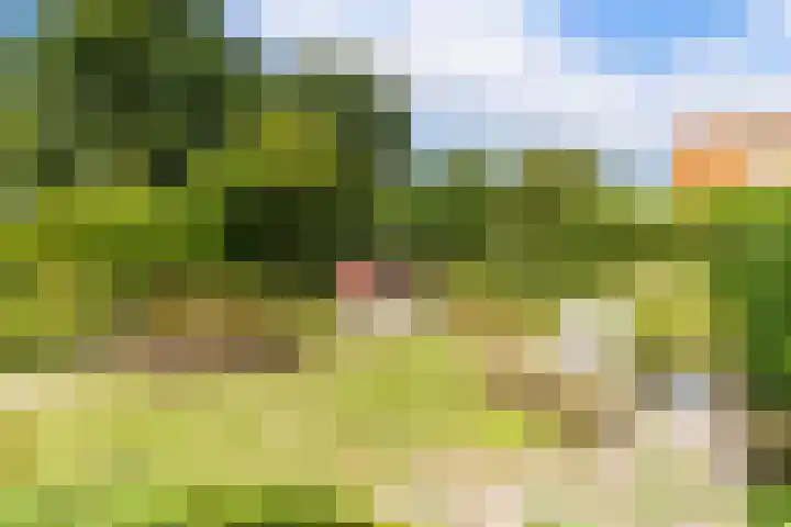 Zandweg 36 Oostvoorne thumbnail 37